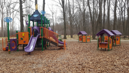 Colorful playground equipment surrounded by bare trees and fallen leaves in a park setting.