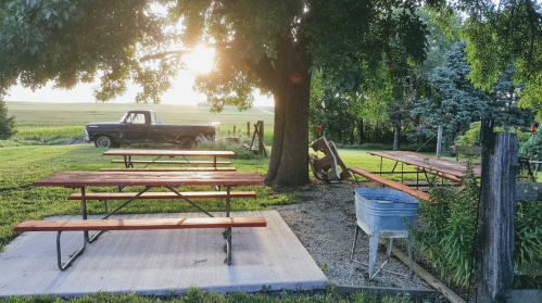 A rustic outdoor setting with picnic tables under a tree, an old truck in the background, and a grassy field.