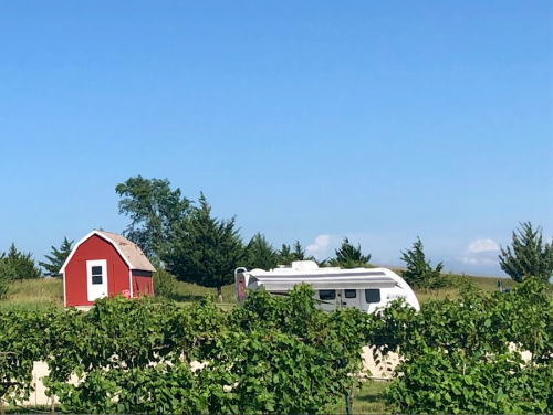 A red barn and a white camper are set against a clear blue sky, surrounded by green vineyards.