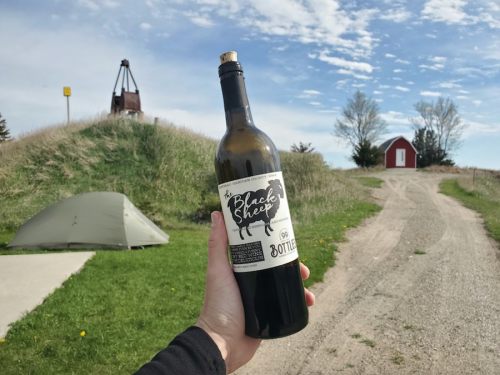 A hand holds a bottle of wine labeled "Black Sheep" near a tent and a red shed on a grassy path.