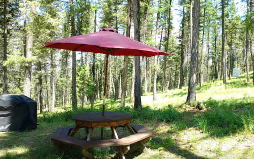 A wooden picnic table with a red umbrella in a forested area surrounded by tall trees and greenery.