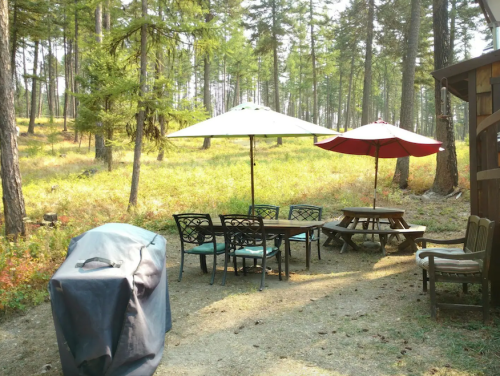 A shaded outdoor seating area with tables and umbrellas surrounded by trees in a grassy clearing.