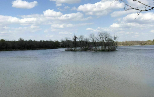 A serene lake scene with an island of bare trees under a partly cloudy sky.