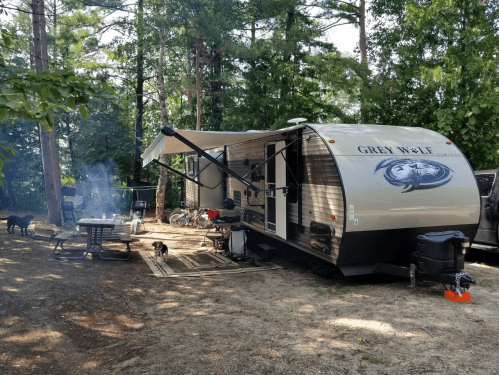 A Grey Wolf travel trailer at a campsite, surrounded by trees, with a fire pit and dogs nearby.