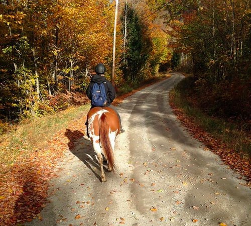 A person on a horse rides down a gravel path surrounded by vibrant autumn foliage.