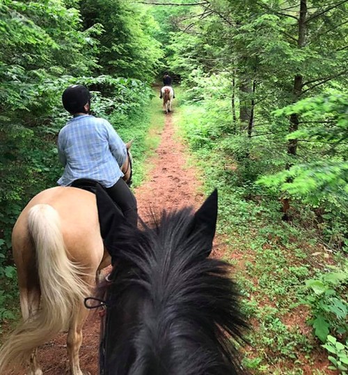 Two riders on horseback follow a dirt trail through a lush green forest.
