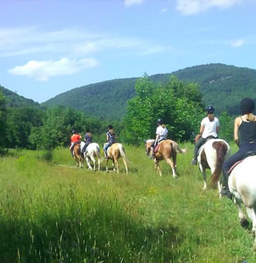 A group of people riding horses along a grassy trail with hills and trees in the background.