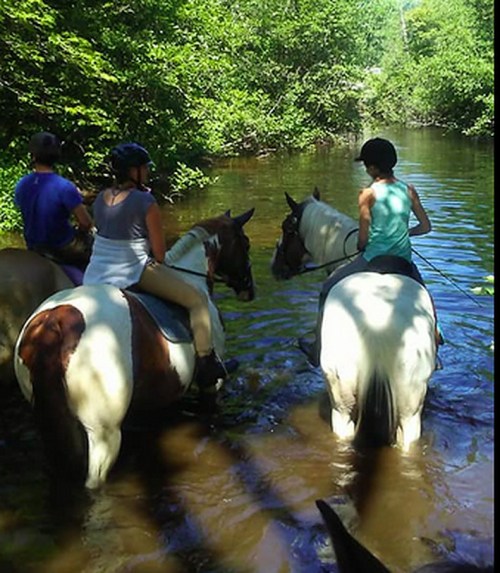 Two riders on horseback wade through a shallow stream surrounded by lush greenery.