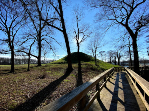 A wooden walkway leads to a grassy hill surrounded by bare trees under a clear blue sky.