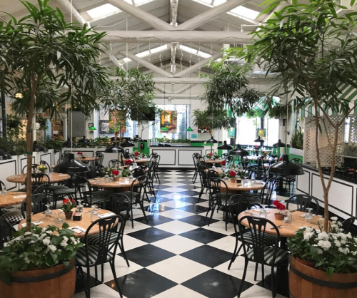 Bright restaurant interior with black and white checkered floor, wooden tables, and lush greenery throughout.