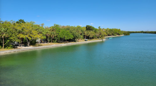A serene river scene with lush green trees lining the shore under a clear blue sky.