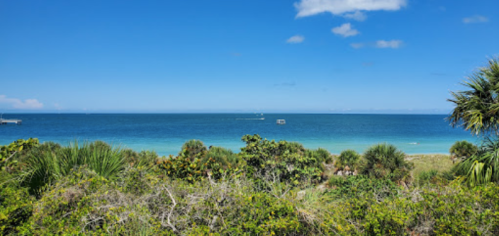 A scenic view of a clear blue ocean with a sandy beach and lush greenery in the foreground under a bright sky.