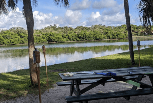 A peaceful lakeside scene with a picnic table, palm trees, and tiki torches, surrounded by lush greenery and blue skies.