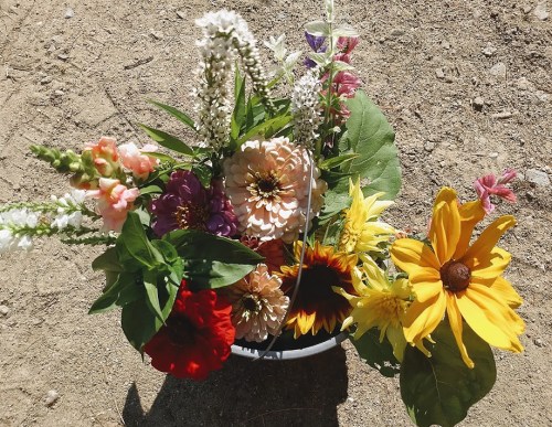A vibrant bouquet of mixed flowers, including sunflowers, zinnias, and snapdragons, arranged in a black container.