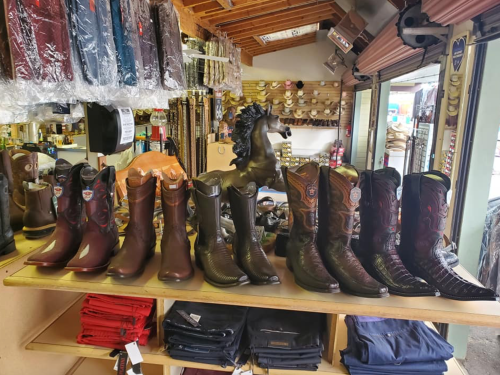 A display of various cowboy boots on a wooden shelf, with a decorative horse statue in the background.