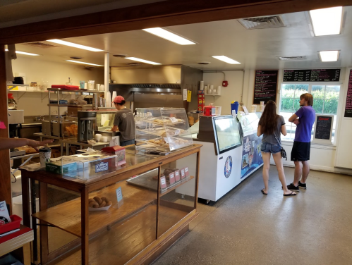 A cozy ice cream shop with a counter, display cases, and customers browsing the menu.