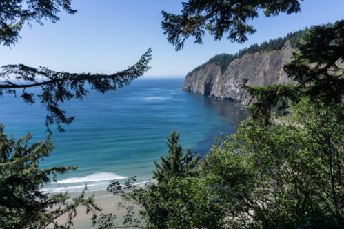 A scenic view of a coastal cliff with lush trees, overlooking calm blue waters and a sandy beach.