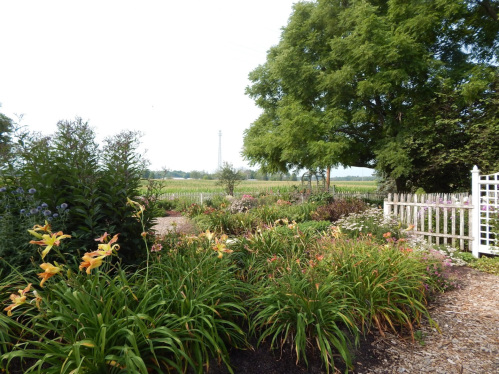 A vibrant garden filled with colorful flowers, surrounded by greenery and a white picket fence, under a clear sky.