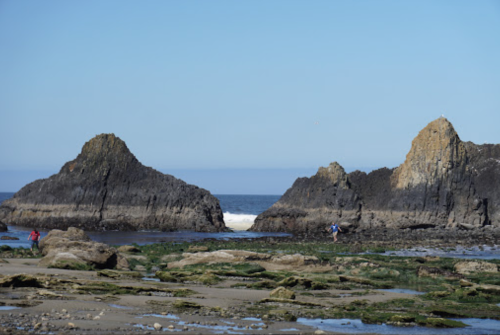 Two rocky formations rise from a sandy beach, with people exploring the tide pools in the foreground under a clear blue sky.