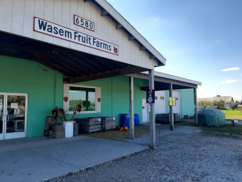 Exterior of Wasem Fruit Farms building with a green facade, sign, and pumpkins displayed outside. Clear blue sky above.