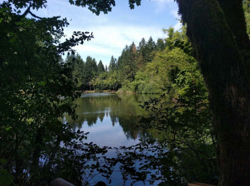 A serene lake surrounded by lush greenery and trees under a clear blue sky. Reflections shimmer on the water's surface.