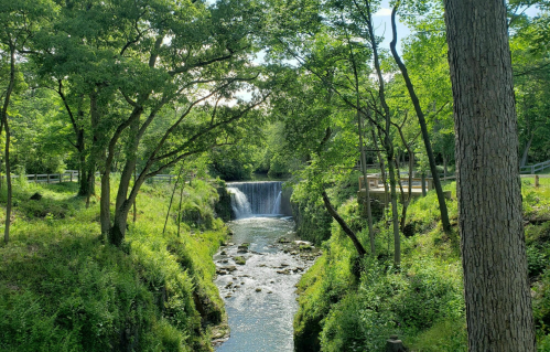 A serene waterfall surrounded by lush greenery and trees, with a gentle stream flowing below.
