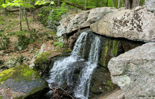 A small waterfall cascading over moss-covered rocks in a lush green forest.