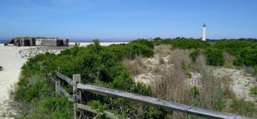 A sandy beach scene with green shrubs, a wooden fence, and a lighthouse in the distance under a clear blue sky.