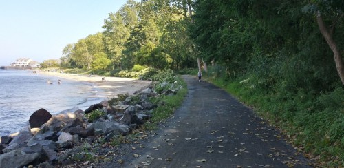 A scenic path along a shoreline, with trees on one side and a beach in the distance, under a clear blue sky.