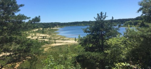 A serene lake surrounded by greenery and trees under a clear blue sky.