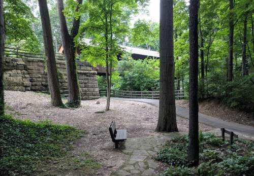 A serene wooded area with a stone wall, a bench, and a winding path surrounded by lush green trees.