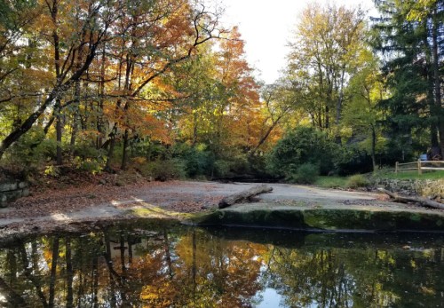 A serene forest scene with colorful autumn leaves reflecting in calm water.