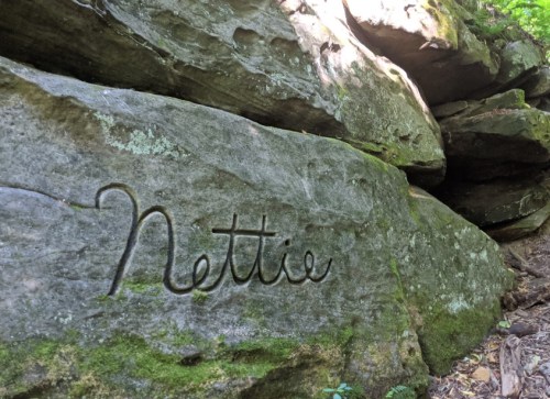 Carved name "Nettie" on a moss-covered rock in a wooded area.