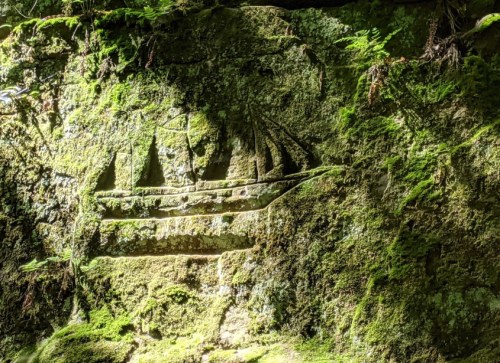 Carved ship design on a moss-covered rock surface, surrounded by greenery and natural textures.