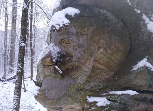 A snow-covered rock formation resembling a face, surrounded by trees in a winter landscape.