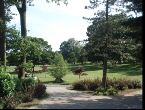 A sunny park scene with green trees, shrubs, and a grassy area, inviting for relaxation and outdoor activities.