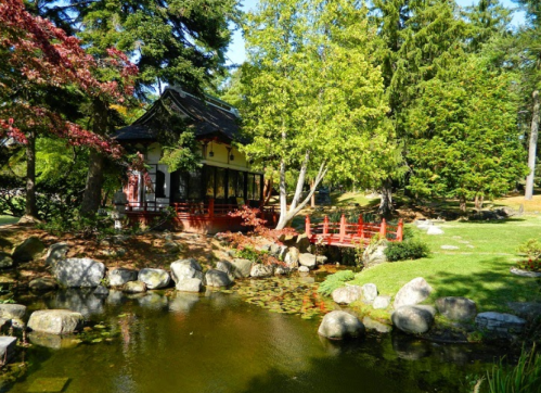 A serene garden scene featuring a pond, lush greenery, a traditional building, and a red bridge.