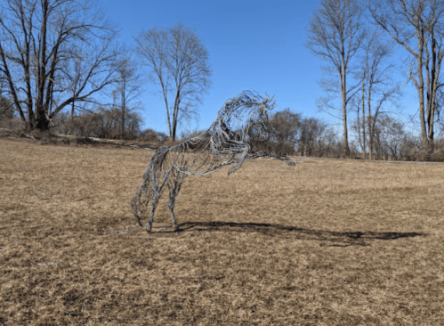 A wire sculpture of a rearing horse stands in a grassy field under a clear blue sky, surrounded by bare trees.