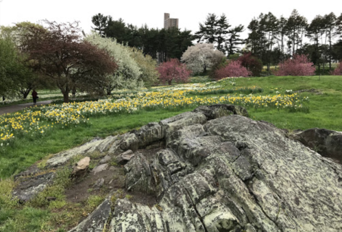 A rocky outcrop in a vibrant park filled with blooming flowers and trees, under a cloudy sky.