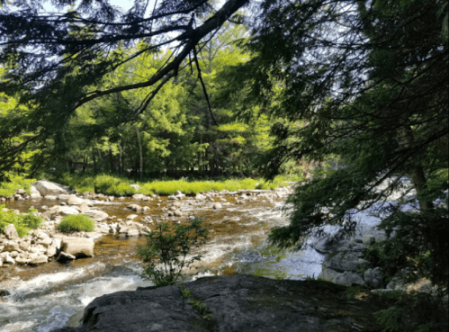 A serene river flows through a lush green landscape, surrounded by trees and rocky banks under bright sunlight.
