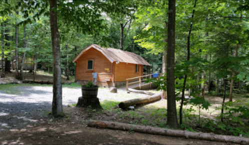 A small wooden cabin surrounded by trees, with a gravel path and a log in the foreground.