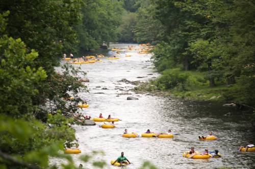 A river filled with people floating on yellow inner tubes, surrounded by lush green trees and a peaceful landscape.