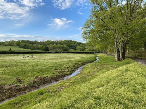 A serene landscape featuring a grassy field, a small stream, and trees under a blue sky with scattered clouds.