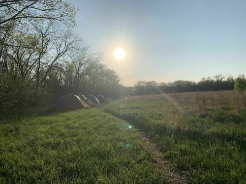 Tents set up in a grassy field under a bright sun, with trees in the background and a clear blue sky.