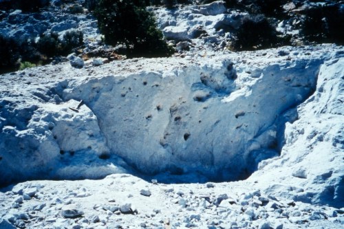 A rocky, pale landscape with uneven terrain and scattered stones, surrounded by sparse vegetation.
