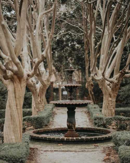 A serene garden path lined with tall trees, featuring a central fountain surrounded by neatly trimmed hedges.