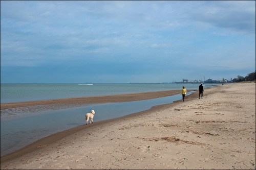 A sandy beach with a calm sea; a person walks with a dog while another person strolls along the shore.