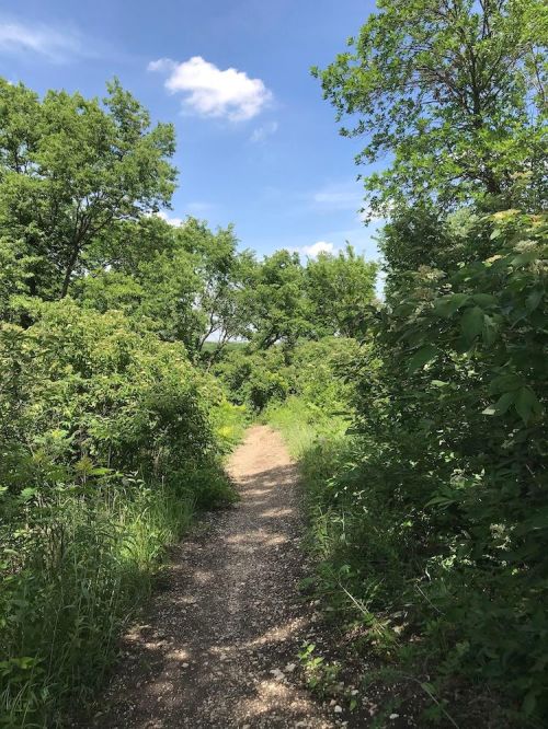 A narrow dirt path winds through lush greenery under a bright blue sky with a few clouds.