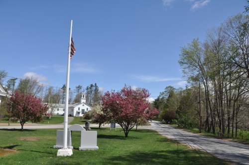 A clear blue sky over a grassy area with flowering trees, a flagpole, and a road leading to a distant church.