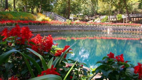 A serene pond surrounded by vibrant red flowers and lush greenery, with wooden pathways in the background.